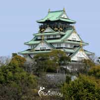 Osaka Set to Lead as the Premier Hub for International Patients Seeking Bio-Regulated Stem Cell Treatments for Chronic Conditions